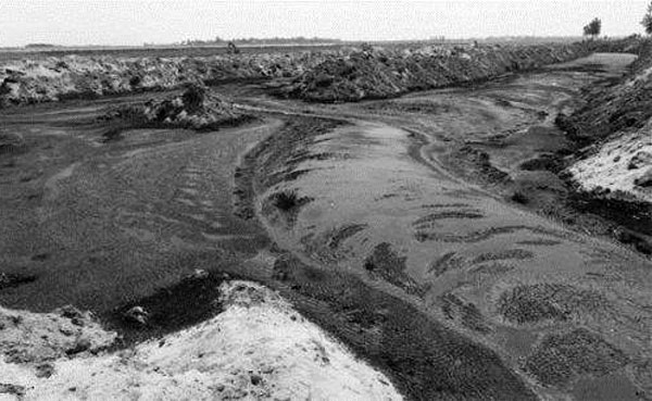 污泥處理處置現(xiàn)狀 污泥處理處置現(xiàn)狀